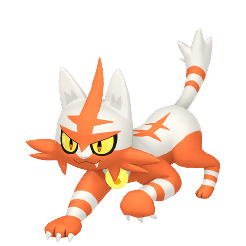 #0726 Torracat