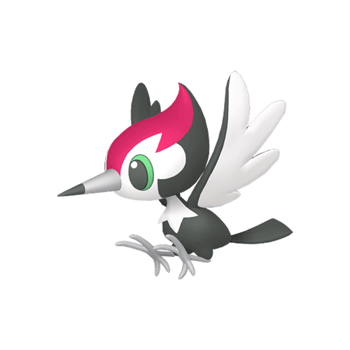 #0731 Pikipek