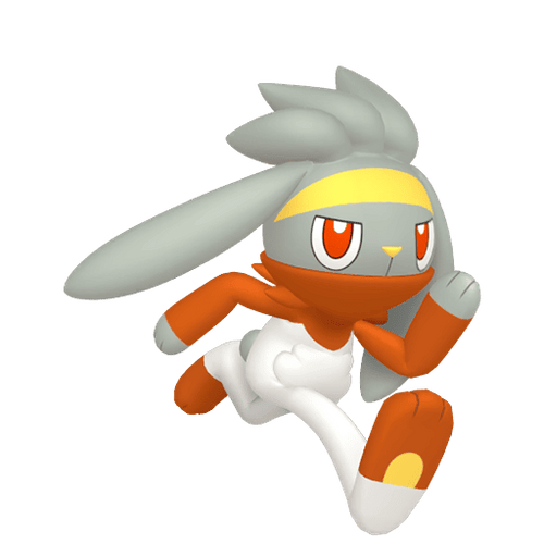 #814 Raboot