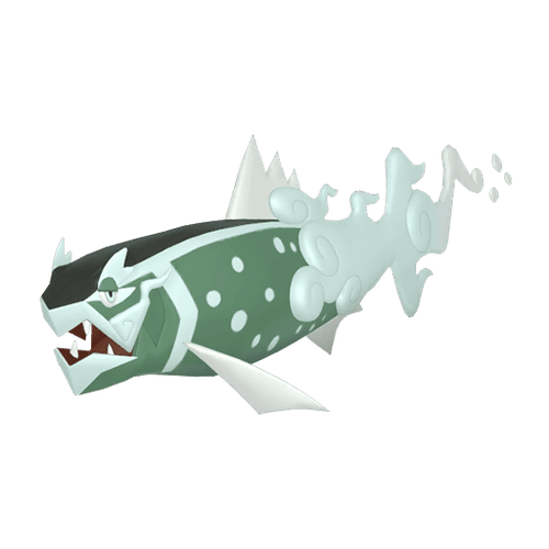 #0902 Basculegion Female