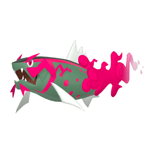 #0902 Basculegion Female