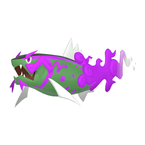 #0902 Basculegion Female