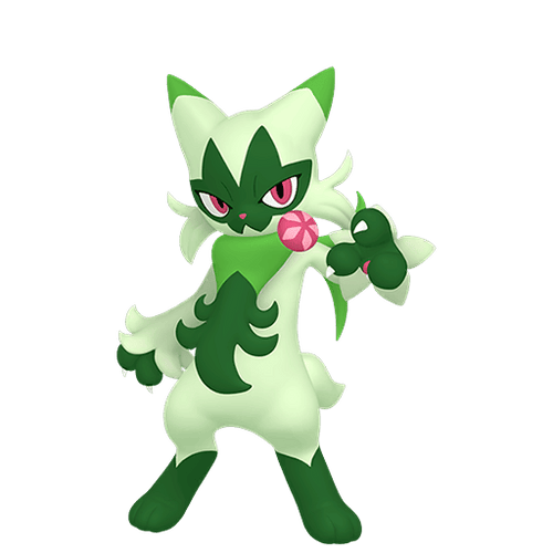 #907 Floragato