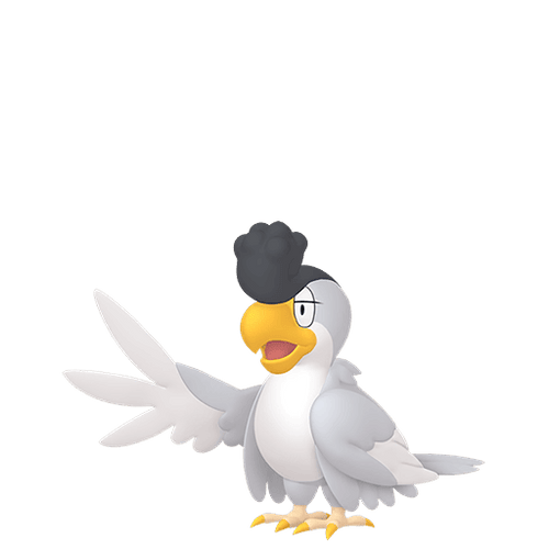 #0931 Squawkabilly White