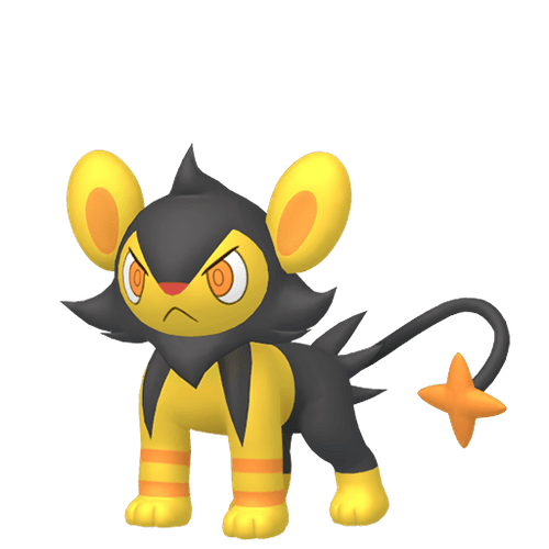 #0404 Luxio