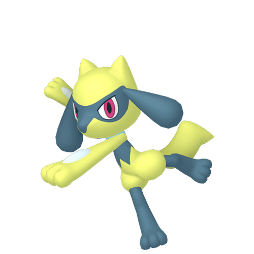 #0447 Riolu