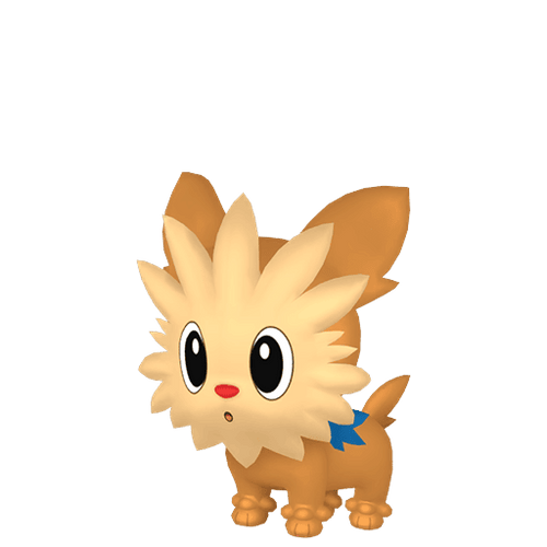 #0506 Lillipup
