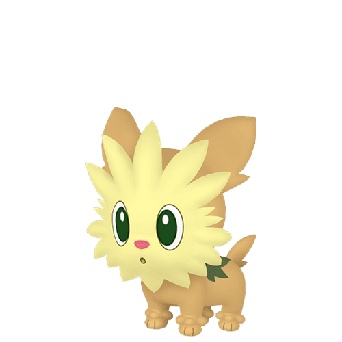 #0506 Lillipup
