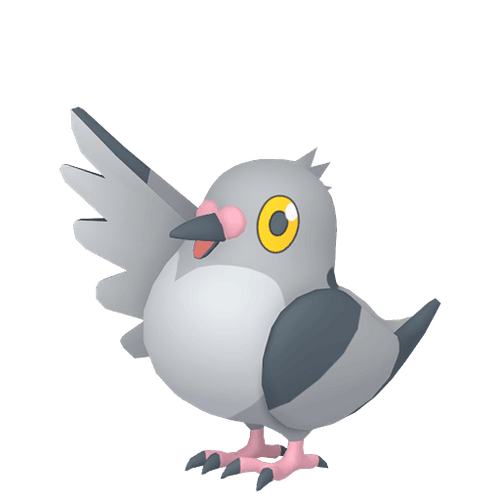 #0519 Pidove