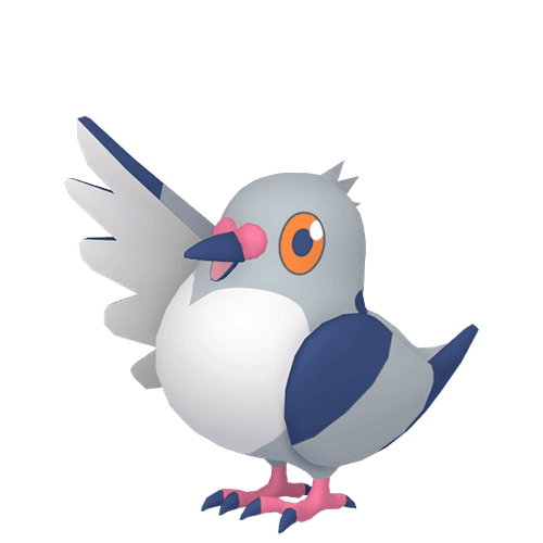#0519 Pidove