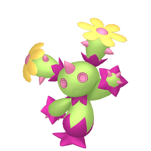 #0556 Maractus