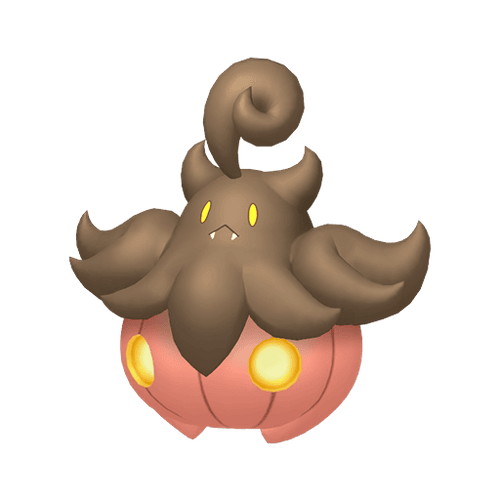 #0710 Pumpkaboo Average Size