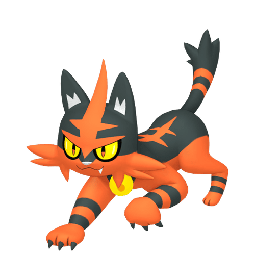 #0726 Torracat