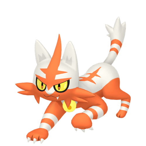 #0726 Torracat