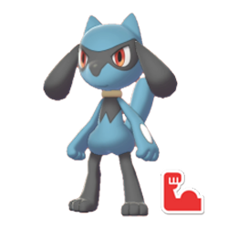 Buy Pokemon SV Riolu (Marked) -PKMBuy