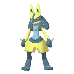 Buy Pokemon SV Lucario (Raid Ready)-Blastoise -PKMBuy