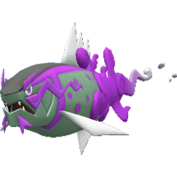 #0902 Basculegion Male