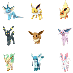 Eevee Bundle