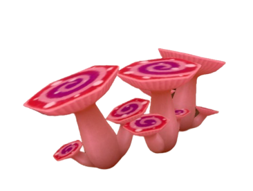 Max Mushrooms &times;6