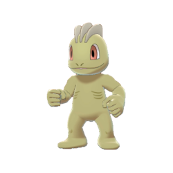 #066 Machop