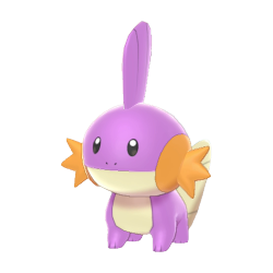 #258 Mudkip