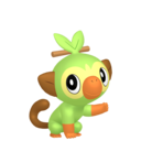 Non-shiny