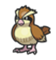 Pidgey