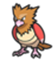 Spearow