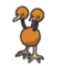 Doduo
