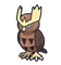 Noctowl