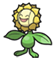 Sunflora