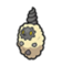Burmy Sandy Cloak