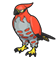 Talonflame