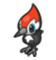 Pikipek