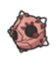 Minior Meteor Form