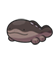 Clodsire